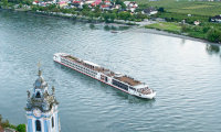 Viking Hild