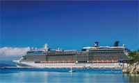 Celebrity Silhouette